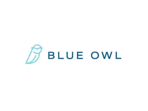 Blue Owl: l’IA non è una minaccia per il software, panico eccessivo sui titoli