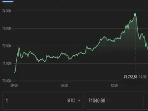Bitcoin sale ai massimi di un mese: tocca 73.800 dollari e supera azioni USA e oro
